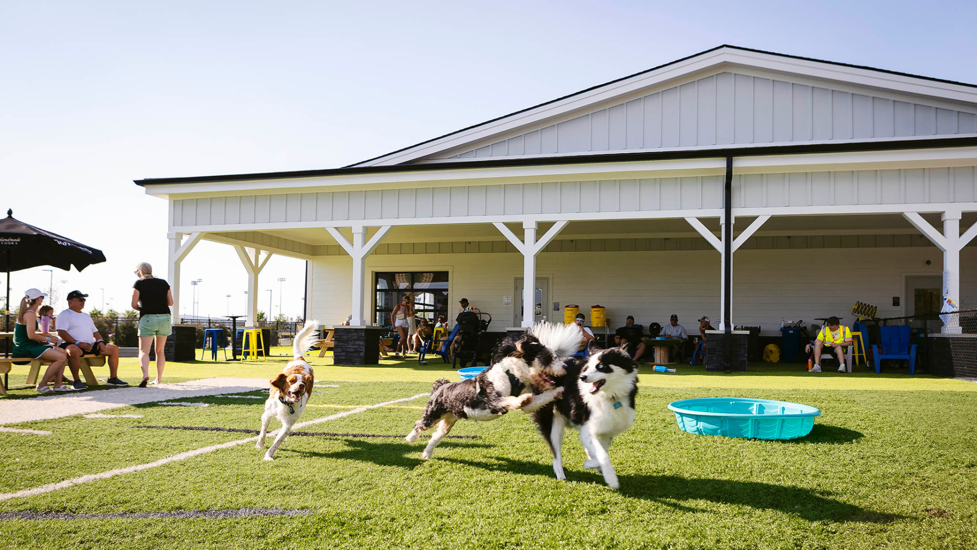 Doggy Day Care
