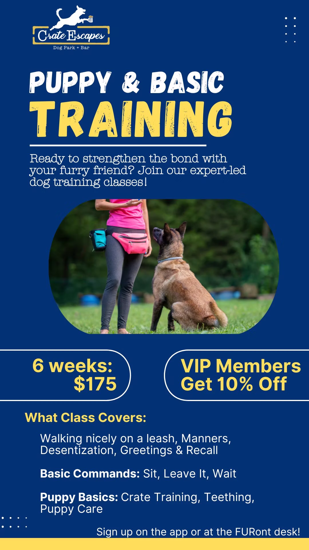 Crate Escapes dog training class schedule and details