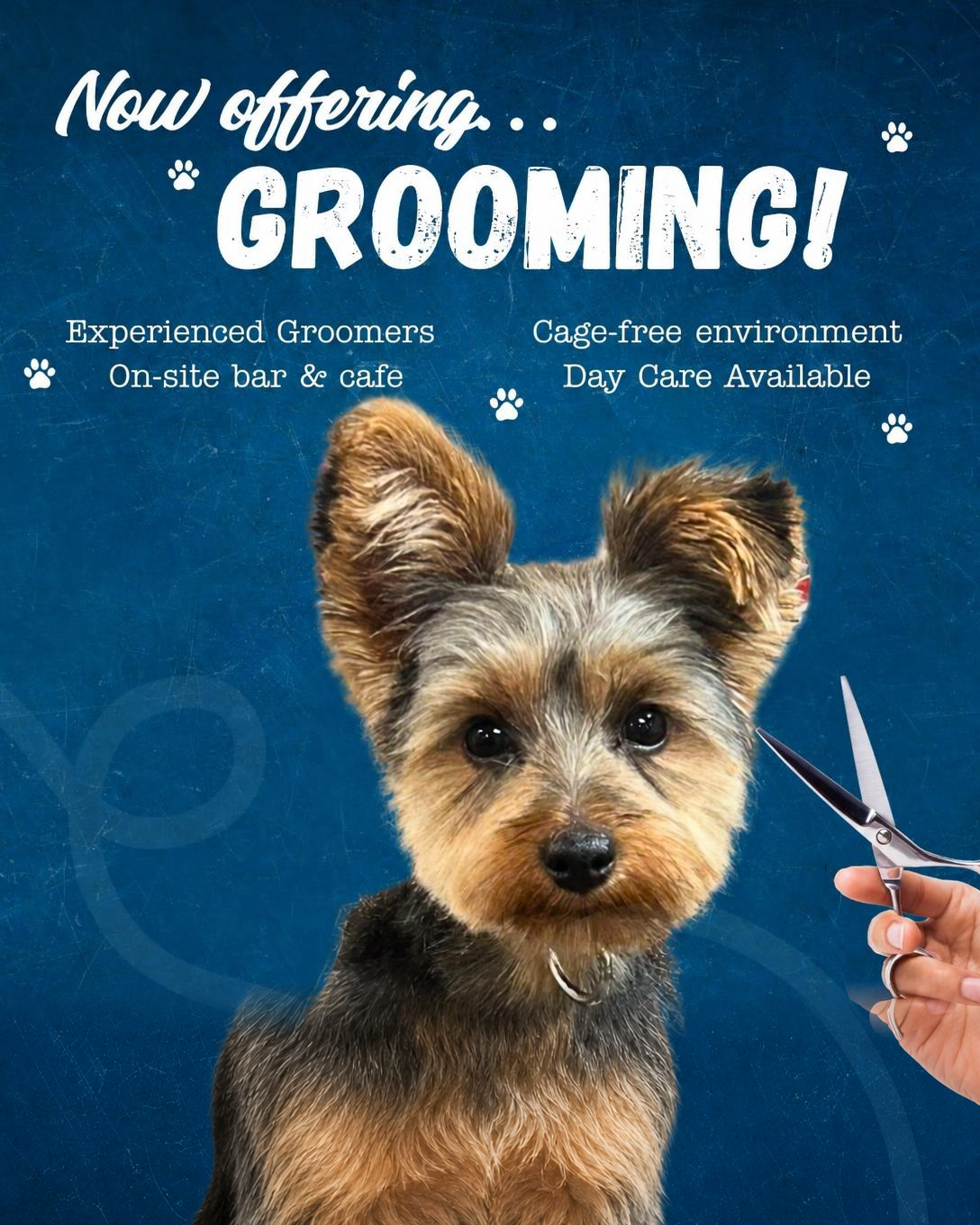 Grooming & Self Serve Bathing